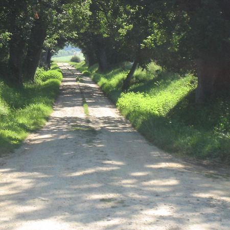 Domaine à Marmande Acomodação com café da manhã Berdoues Exterior foto
